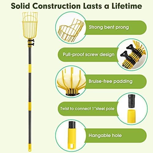 INFLATION Fruit Picker Tool,Apple Picker Pole with Basket,10 FT Adjustable Fruit Picker Pole with Basket Telescoping,Sturdy Basket with Foam Pad for Picking Avocado Acorn Lemon Pear Mango
