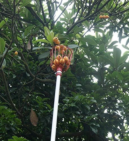 Fruit Picker Harvester Basket, Adjustable Fruit Picker Tool with Cushion to Prevent Bruising, Professional Gardening Fruit Picker Tool for Picking Apple Pear Peach Orange (Pole Not Included)
