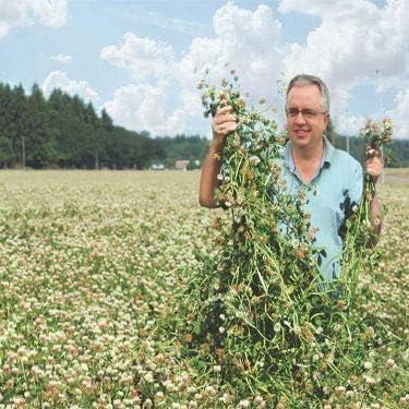 Outsidepride Fixation Balansa Clover Seeds for Lawn - 10 lbs. Coated & Inoculated, Cold Season, Drought Tolerant Cover Crop Seeds, Ideal for Erosion Control, Pasture, & Pollinator-Friendly Garden