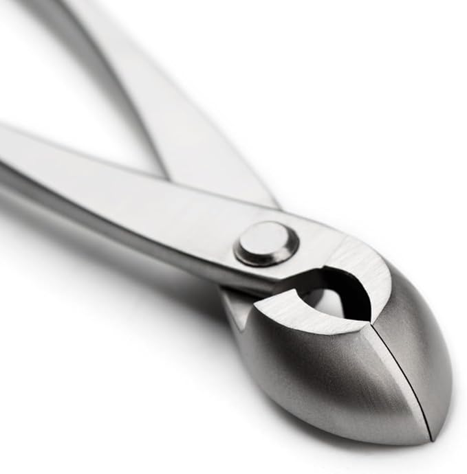 tianbonsai Bonsai Tools 205 Mm Round Edge Cutter Multifunctional Bonsai Cutter With Both Straight Edge And Round Edge