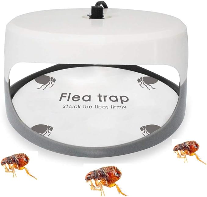 Flea Trap Refills 10 Packs, Flea Trap for Inside Your Home, Replacement Pads for Fleas Light, 7.1 Inch Natural Glue Discs Refill