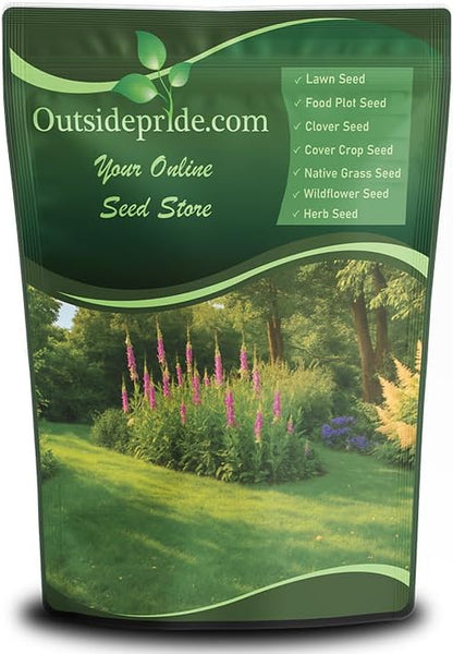 Outsidepride Sheeps Fine Fescue Grass Seed - 25 Lbs. Perennial Heat & Drought Tolerant Dense Green, Traffic-Resistant Turf for Shaded Environments w/OptiGrowth Coating for Seed Enhancement