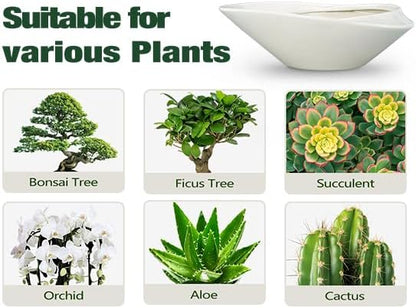 Bonsai Planter Pot - 12 Inch Ceramic Plant Pot for Indoor Plants Outdoor Decorative Flower Pot Succulent Planter with Drainage Hole Gray