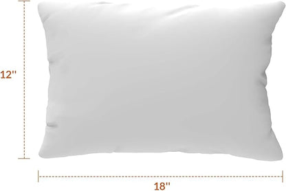 Covers & All Sunbrellla Outdoor Pillows for Patio Furniture, UV Fade Resistant & Waterproof Outdoor Sunbrella Lumbar Pillows, Set of 2 Inserts & Covers for Patios, Decks and Porches (Cast Ash)