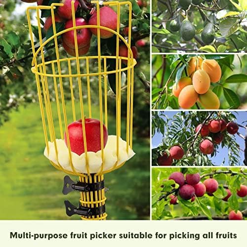 INFLATION Fruit Picker Tool,Apple Picker Pole with Basket,10 FT Adjustable Fruit Picker Pole with Basket Telescoping,Sturdy Basket with Foam Pad for Picking Avocado Acorn Lemon Pear Mango