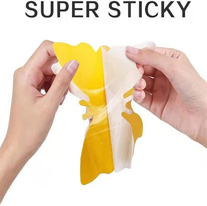Sticky Insect Traps 40 Pcs - Gnats Fruit Fly Traps for Indoors House - Yellow Double-Sided Sticky Insect Catchers Fungus, Fruit Flies, Whiteflies, Aphids, Leaf Miners