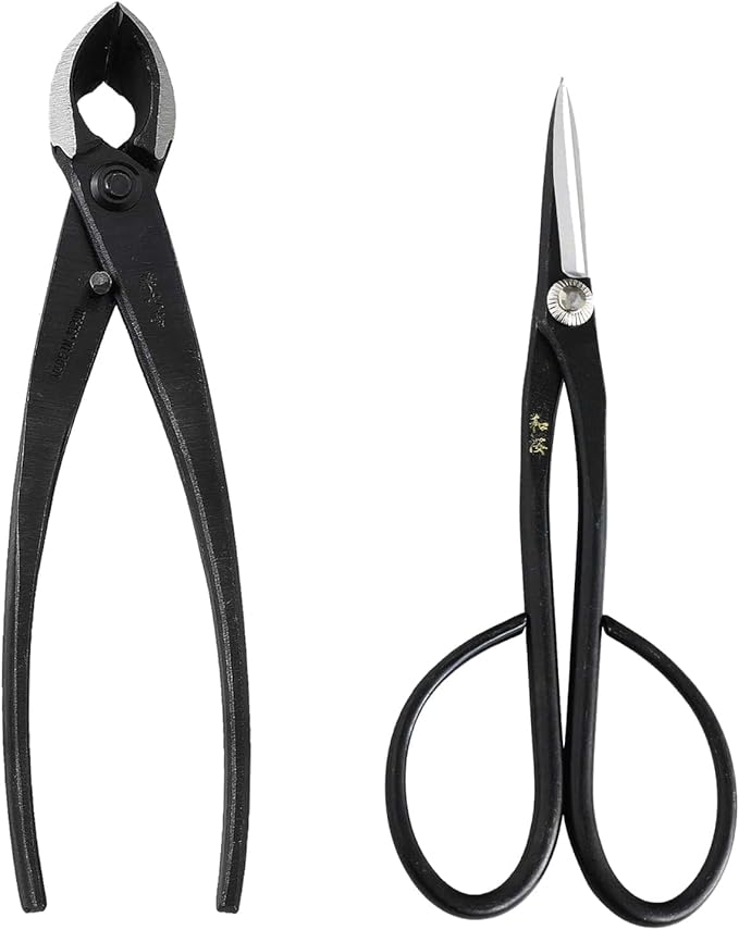 Wazakura Japanese Bonsai Tool Kit Set Made in Japan, Satsuki Scissors 7inch(180mm) + Concave Branch Cutter 8inch(200mm) Gift Box (Yasugi Steel Satsuki Scissors + Concave Branch Cutter)