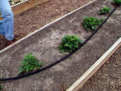 Rocky Mountain Goods 25 Foot Flat Weeper Soaker Hose - Drip Irrigation - Double Layer Design - Saves 70% Water - Consistent Drip Entire Length of Hose - Includes 3 Pressure Reducing Discs