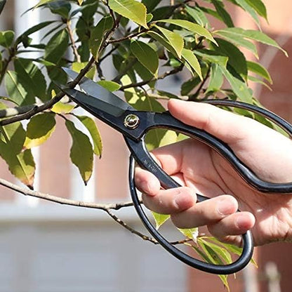 Wazakura Japanese Bonsai Tool Set MADE IN JAPAN, Bonsai Scissors 7inch(180mm) + Concave Branch Cutter 8inch(200mm), Essential Starter Kit
