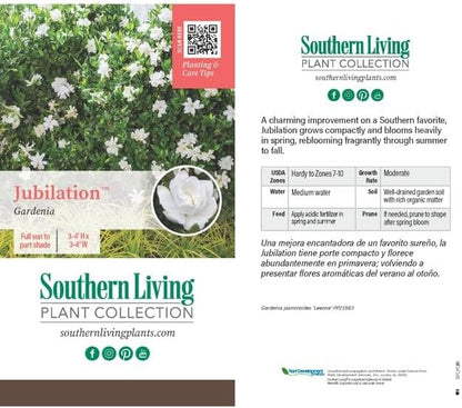 Southern Living Jubilation Gardenia, 1 Gallon, White Fragrant Blooms, Spring to Fall Flowering
