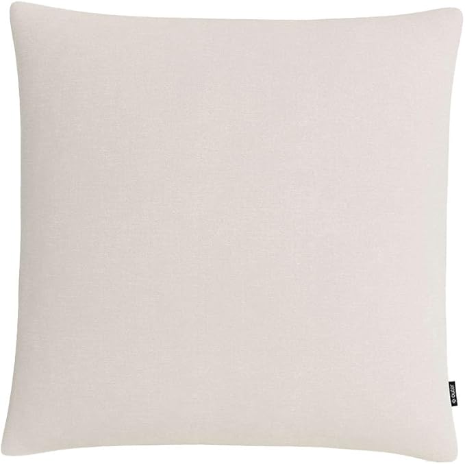 Outer Outdoor Throw Pillow with OuterWeave Performance Fabric, Decorative Outdoor Pillow for Patio & Outdoor Furniture, Includes Machine Washable Pillow Cover and Insert - Pailsades Cream, 20"x20"