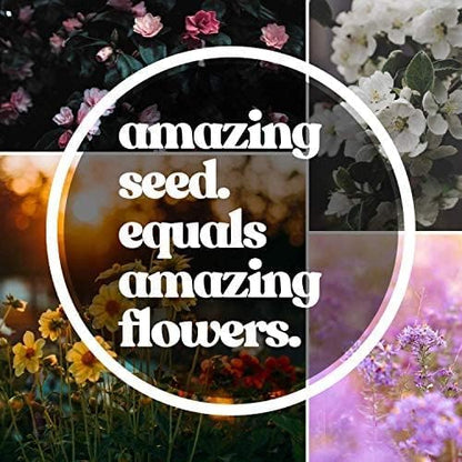 Southeastern Wildflower Seeds Bulk – 5 lb, 3.2 Million+ Seeds – Native Wildflower Seed Mix for Southeast USA – Annual & Perennial Pollinator Flower Seed for Garden, Meadow & Landscaping