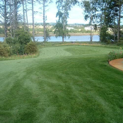 Outsidepride Combat Extreme Transition Zone Grass Seed Blend for Lawn 5 lbs - Fine, Medium Leaf Blades & Dense Turf for Sun, Shady & High Traffic Areas w/OptiGrowth Coating for Seed Enhancement