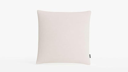 Outer Outdoor Throw Pillow with OuterWeave Performance Fabric, Decorative Outdoor Pillow for Patio & Outdoor Furniture, Includes Machine Washable Pillow Cover and Insert - Pailsades Cream, 18"x18"