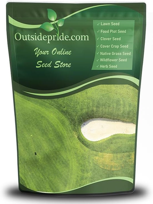 Outsidepride Oasis Bermuda Grass Seed - 50 lbs Warm Season, High Traffic, Heat Resistant, Drought-Tolerant, Low-Maintenance, Fast Growing Turf Grass for Lawn, Ideal for Sunny Areas, Thick Coverage