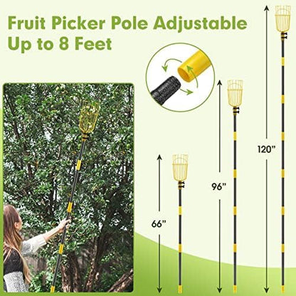 INFLATION Fruit Picker Tool,Apple Picker Pole with Basket,10 FT Adjustable Fruit Picker Pole with Basket Telescoping,Sturdy Basket with Foam Pad for Picking Avocado Acorn Lemon Pear Mango