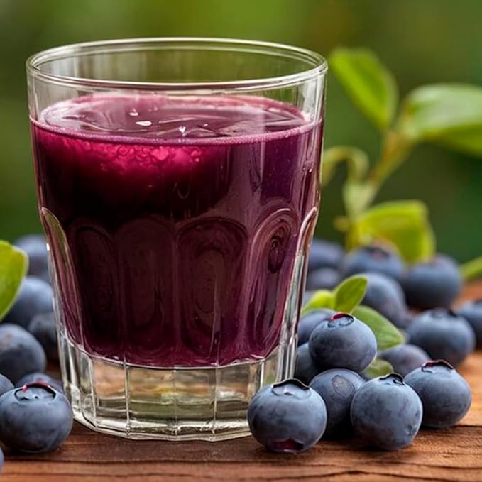 Pink Lemonade Blueberry (Biloxi)