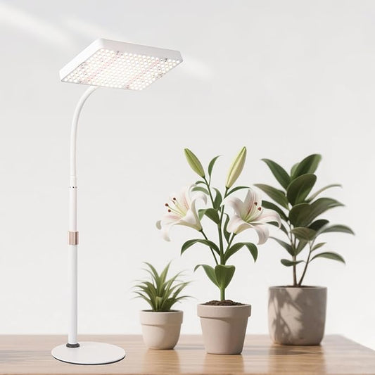 Tabletop Grow Light with Timer, Bright Desk Grow Lights for Indoor Plants, Seed Starting, Seedlings, Bonsai, Succulent, Cactus, Vegetables, 16"-24" Height Adjustable, Daisy Chain Function