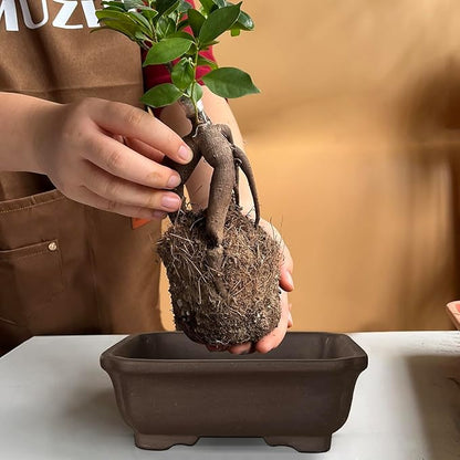 MUZHI 2PACK Unglazed 6” Ceramic Bonsai Pot with Humidity Trays, Breathable Handmade Rectangle Bonsai Starter Planter for Bonsai Tree, Juniper,Ficus, Money Tree