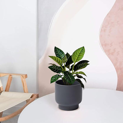 LB Grey Ceramic Planters for Indoor Plants, Succulent Plant Pots Ceramic Flower Pots, Modern Plant Pot for Living Room Office Home Decor, Round Flower Pot of 4.3 Inch(Plant Not Included)