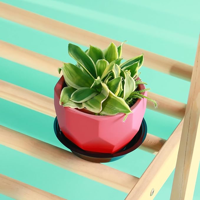 20 Pack 12 Inch Plant Saucer, Black Plant Saucers for Indoors Outdoors, Large Plastic Plant Saucer for Plant Pots Plant Water Catcher Tray, Flower Pot Saucers Bulk Plant Drip Trays for Potted Plants