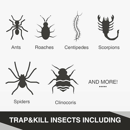 Qualirey Ant Traps Indoor, Upgraded Peanut Butter Scented, Larger 10pcs Ant Spider Cockroach Centipede and Crawling Insect Trap, Pet Safe Insect Traps for Home, Kitchen, Garage