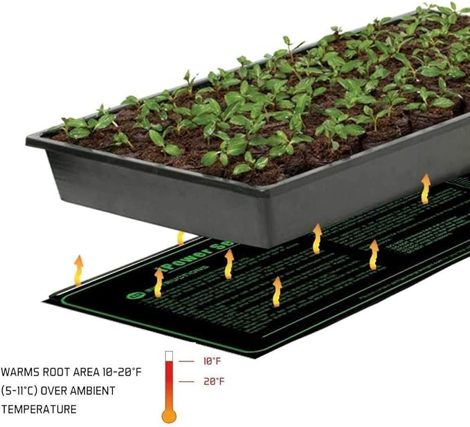 iPower 2-Pack 40-108 Degrees Fahrenheit Digital Heat Mat Thermostat Controller and 10" x 20" Hydroponic Seeding Warm Pad Plant Starting Kit Combo