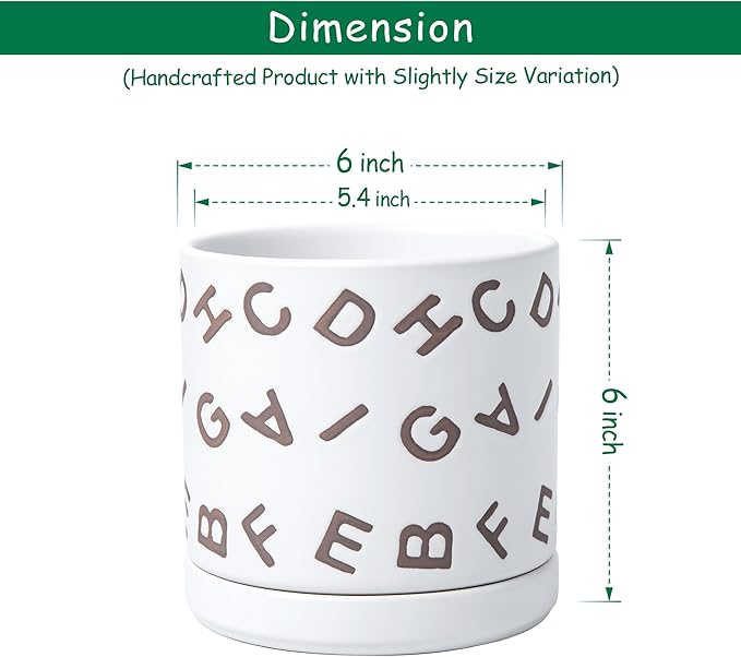 D'vine Dev Set of 2 Ceramic Planter Pots with Drainage Hole and Saucer, 6 Inch Plant Pots for Plants Indoor Houseplants, White, 99-Z-G-1-Y