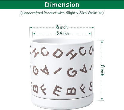 D'vine Dev Set of 2 Ceramic Planter Pots with Drainage Hole and Saucer, 6 Inch Plant Pots for Plants Indoor Houseplants, White, 99-Z-G-1-Y