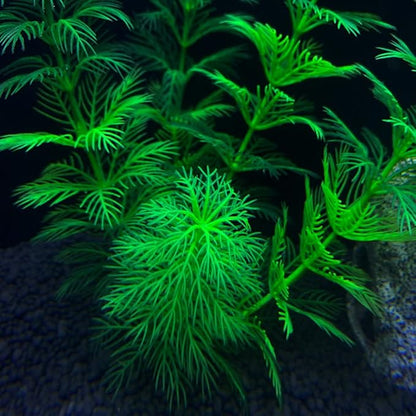 Artificial Aquarium Plants Plastic, Fake Plants for Aquarium Fish Tank, Realistic Plant 10PCS