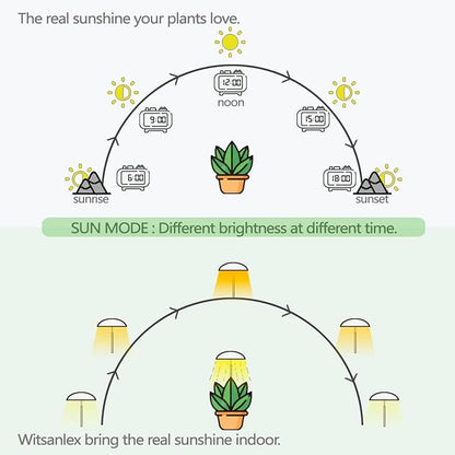 LED Grow Lights for Indoor Plants, Smart USB Small Full Spectrum Plant Lights with Remote, Height Adjustable, Auto On/Off Timer, Ideal for Home Decoration