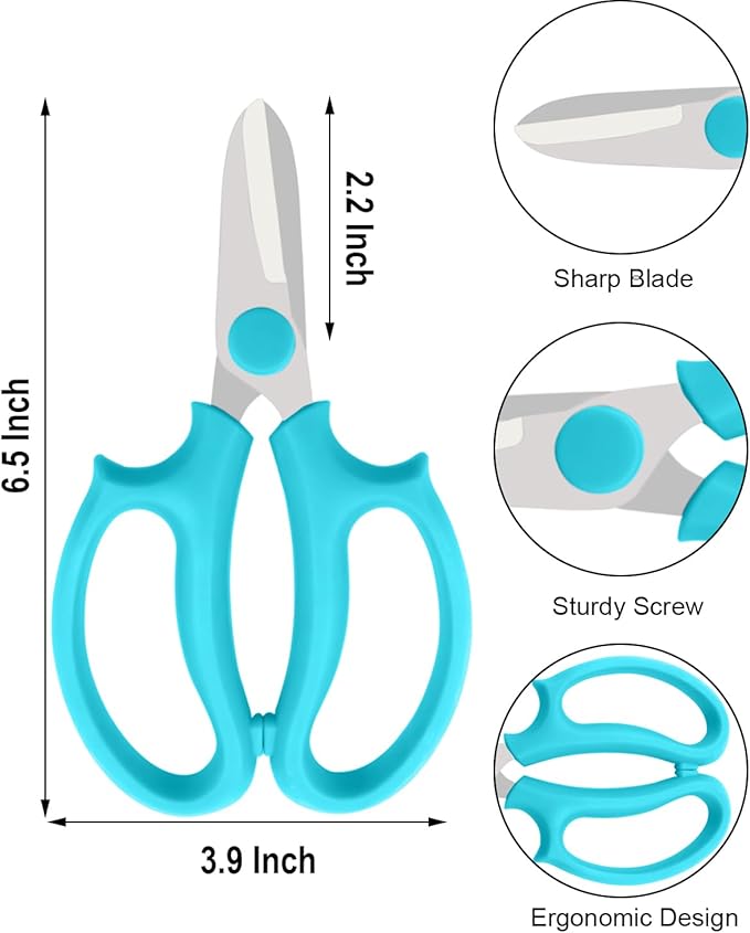 Flower Scissors - 12 Pcs Stainless Steel Flower Shears, Garden Plant Floral Shears for Fresh Flowers Stems (Blue, Green, Pink, Violet)