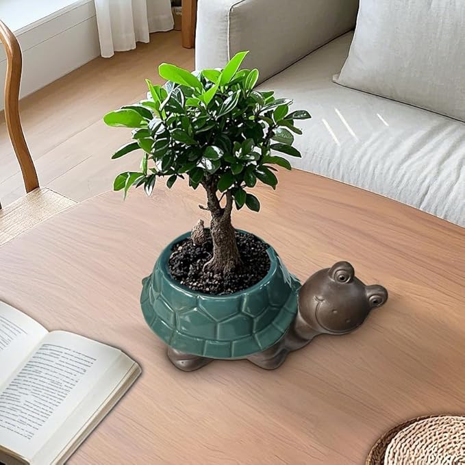 MUZHI Ceramic Bonsai Pot with Bamboo Tray SmilingTurtle Shape, Cute Animal Succulent Cactus Planter with Drainage Hole, Art Desk Decorations and Gift