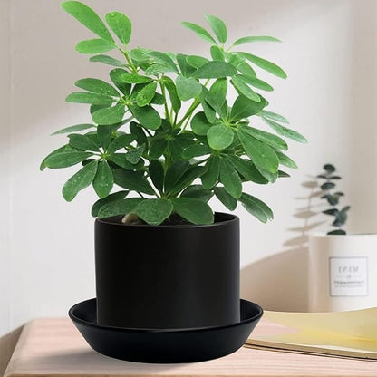 2 Pack 8 Inch Flower Pot Saucers - 9 Inch (8.7 Inch) Ceramic Plant Saucer for Outdoors & Indoors - Glazed Ceramic Plant Pot Trays for Water Drainage - Durable & Stylish Round Plant Tray