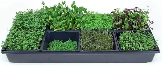 Handy Pantry Micro-Mat Minis Hydroponic Grow Pads - for Organic Production - Plant & Seed Germination: Wheatgrass, Microgreens, More - 4" x 4" to Fit 5" x 5" Greenhouse Plant Trays (96)