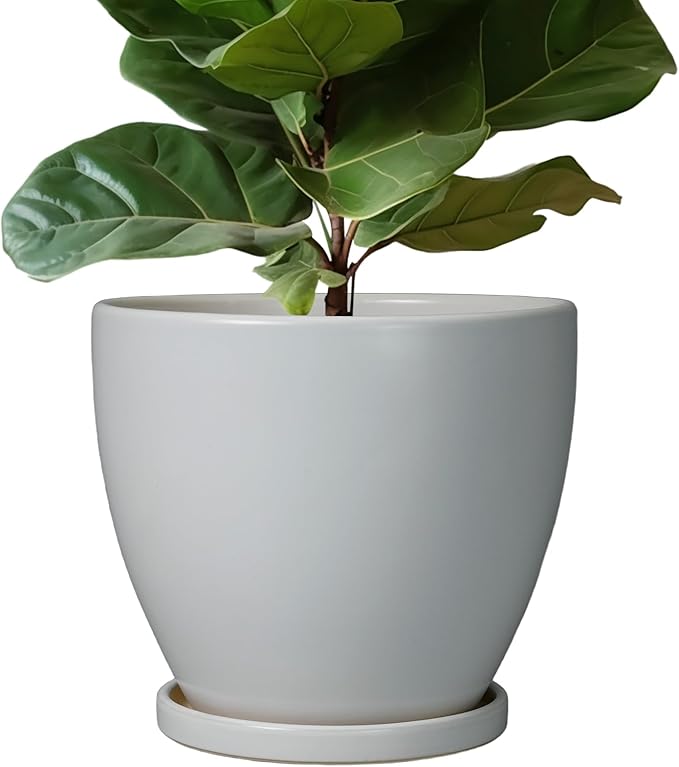 10 Inch Planter - Ceramic Pots for Plants, Planters with Drainage Hole and Tray, Modern Flower Pots Indoor, Home Living Room Patio Porch Garden Office Decor, Gray