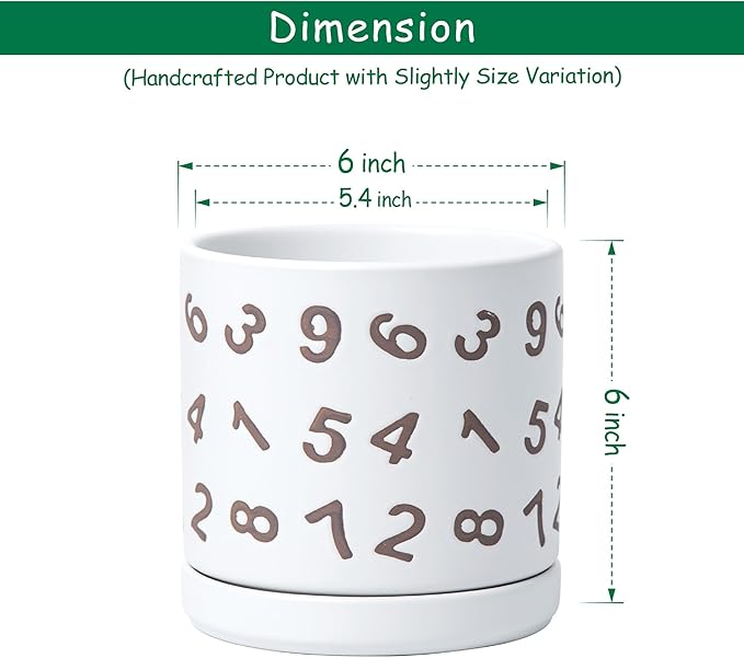D'vine Dev Set of 2 Ceramic Planter Pots with Drainage Hole and Saucer, 6 Inch Plant Pots for Plants Indoor Houseplants, White, 99-Z-B-1-Y