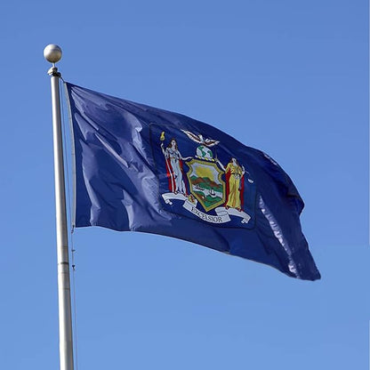 Bradford New York State Flag 3x5 feet Outdoor, 3 Ply Polyester Double Sided New York Flags Heavy Duty, NY State Flags with 2 Brass Grommets for Outsides House Long Lasting