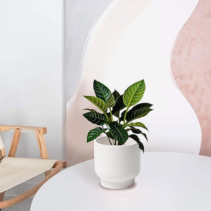 LB White Ceramic Planters for Indoor Plants, Succulent Plant Pots Ceramic Flower Pots, Modern Plant Pot for Living Room Office Home Decor, Round Flower Pot of 4.3 Inch(Plant Not Included)