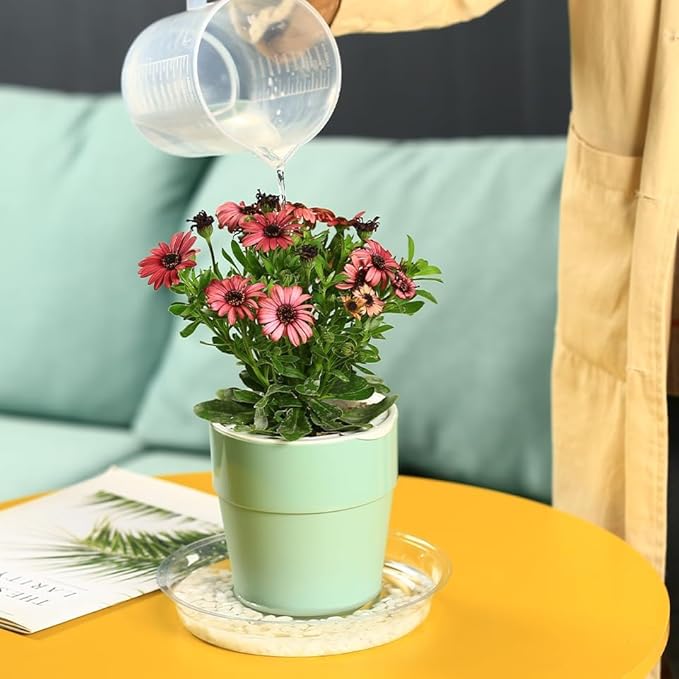 100 Packs 6 Inches Clear Plant Saucers for Indoor Outdoor Use Heavy Duty Plastic Plant Trays for Planter Bulk Flower Pot Drip Trays to Catch Water, 4 to 20 Inch