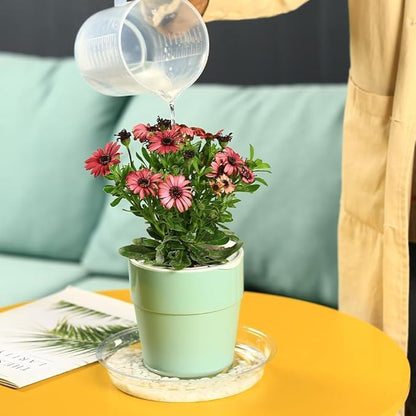 100 Packs 6 Inches Clear Plant Saucers for Indoor Outdoor Use Heavy Duty Plastic Plant Trays for Planter Bulk Flower Pot Drip Trays to Catch Water, 4 to 20 Inch