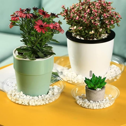 60 Packs Clear Plant Saucers for Indoor Outdoor Use 4/6/8/10/12/14 Inches Heavy Duty Plastic Plant Trays for Planter Bulk Flower Pot Drip Trays to Catch Water, Round Transparent