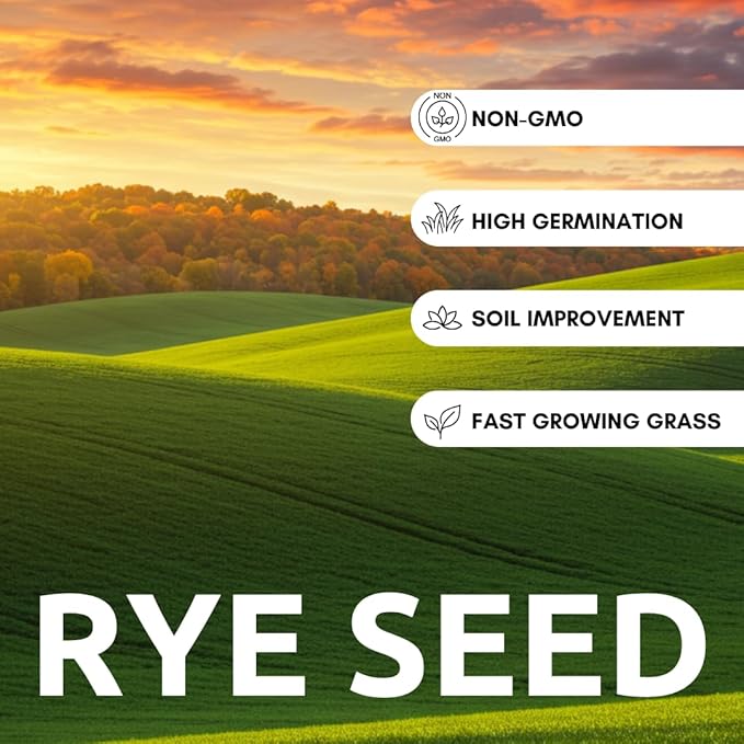 Perennial Ryegrass Seeds for Planting - Premium Quality Rye Grass Seed (10 Pounds)