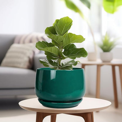 G EPGardening Ceramic Pots for Plants - 9 Inch Ceramic Planter for Indoor Plants, Round Planter with Drainage and Saucer, Modern Flower Pots for Outdoor, House Decor, Garden Gifts, Green