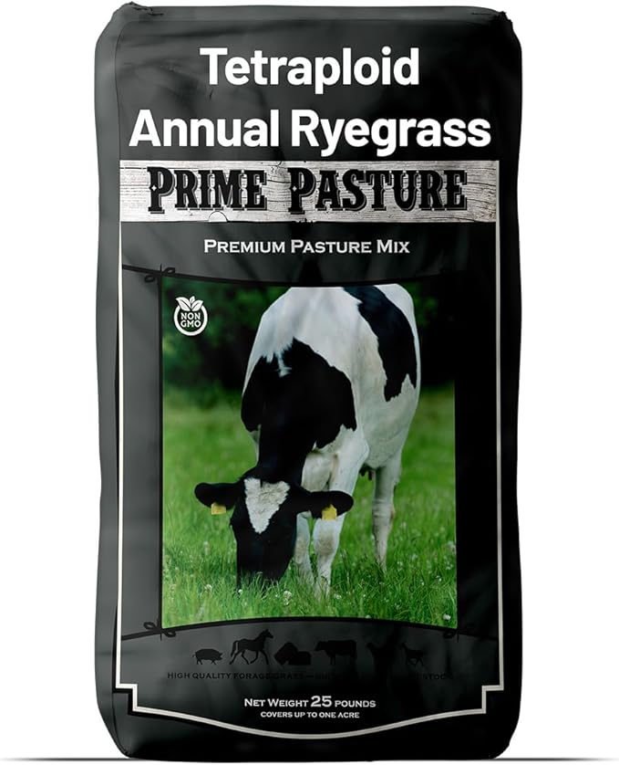 Outsidepride Ryegrass Seeds - 50 lb. Annual, Hardy & Fast-Growing, Cover Crop Seeds for Planting Glossy Dark Green Grass Leaves, Ideal for Hay Foraging, Pasture Grazing & Erosion Control