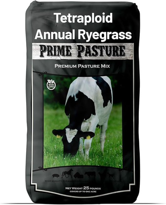 Outsidepride Ryegrass Seeds - 50 lb. Annual, Hardy & Fast-Growing, Cover Crop Seeds for Planting Glossy Dark Green Grass Leaves, Ideal for Hay Foraging, Pasture Grazing & Erosion Control