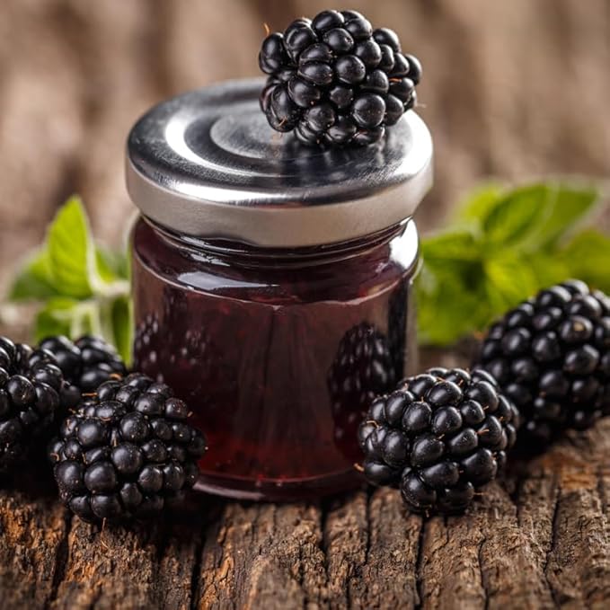 BlackBerry Plant Kiowa (4 Pack) | Live Fruit Plant for Planting | Extra-Large, Juicy & Sweet Berries | Thorny & High-Yielding Variety | Perfect for Fresh Eating, Jams & Organic Gardening