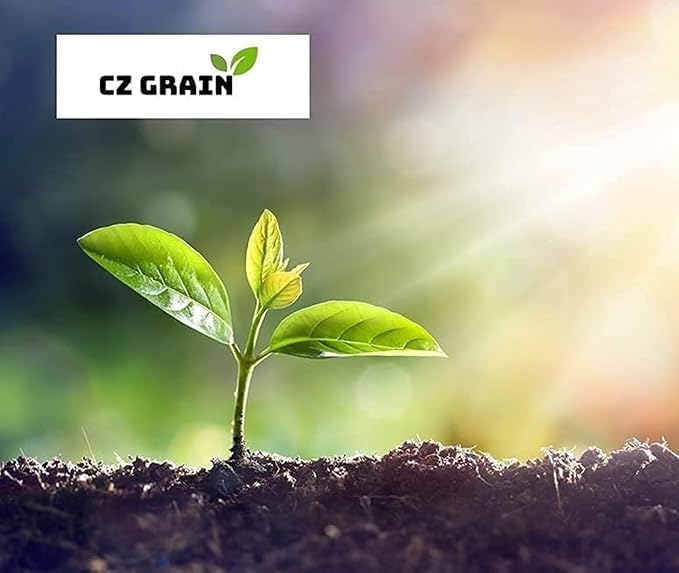 'Bring Me Love Parrot Tulip Bulbs for Planting - Easy to Grow Perennial Flowers (10 Bulbs)