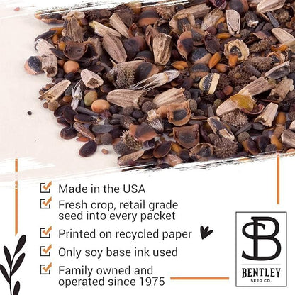 Bentley Classic Vintage Art Poppy Packets, Thinking of You Flanders Corn Seeds, Thoughtful Illustrated Flower Design, Eco-Friendly Hand Out, Sentimental Gift, 25 Pack