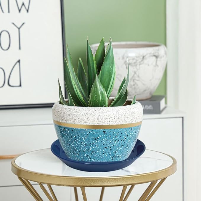 2 Pack 8 Inch Flower Pot Saucers - 9 Inch (8.7 Inch) Ceramic Plant Saucer for Outdoors & Indoors - Glazed Ceramic Plant Pot Trays for Water Drainage - Durable & Stylish Round Plant Tray